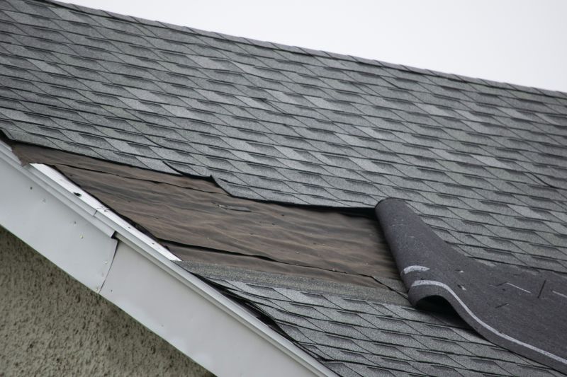 Shingle Damage Repair