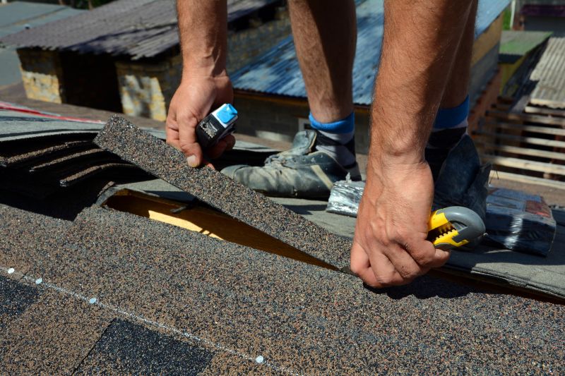 Shingle Repair Service