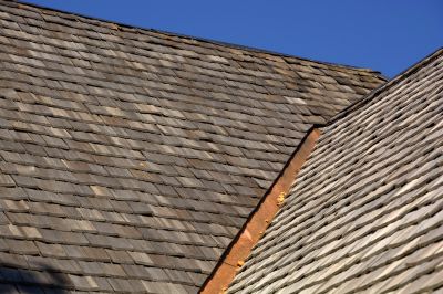Local Roofing Experts